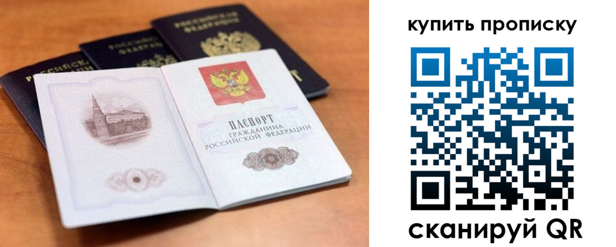 прописка для школы в Димитровграде