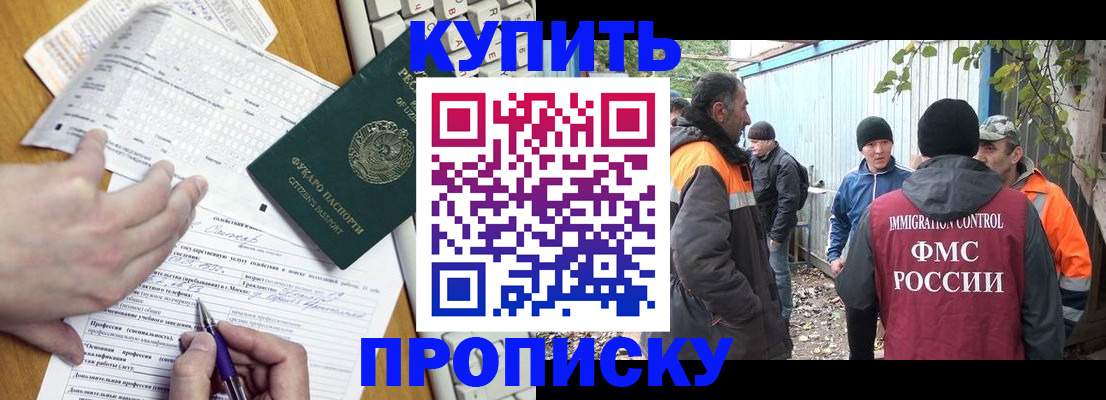 где прописаться в Димитровграде